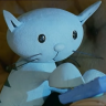 Pilchard