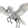 Pegasus2