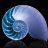 Seashells